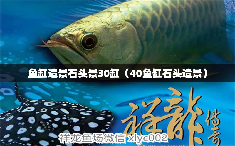 魚缸造景石頭景30缸（40魚缸石頭造景） 觀賞魚市場（混養(yǎng)魚）