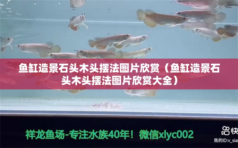 魚缸造景石頭木頭擺法圖片欣賞（魚缸造景石頭木頭擺法圖片欣賞大全）