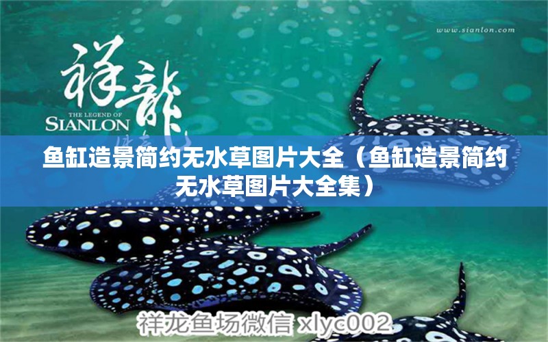 魚缸造景簡約無水草圖片大全（魚缸造景簡約無水草圖片大全集）