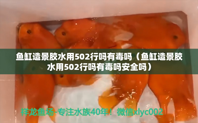 魚(yú)缸造景膠水用502行嗎有毒嗎（魚(yú)缸造景膠水用502行嗎有毒嗎安全嗎）