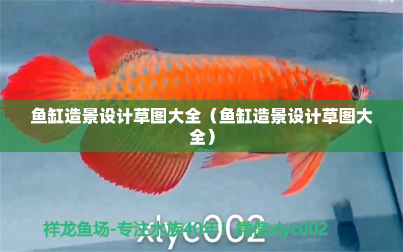 魚(yú)缸造景設(shè)計(jì)草圖大全（魚(yú)缸造景設(shè)計(jì)草圖大全）