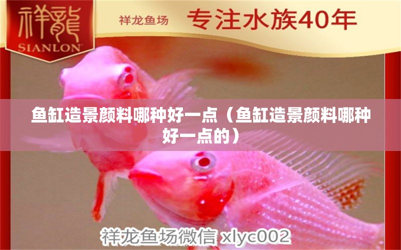 魚缸造景顏料哪種好一點(diǎn)（魚缸造景顏料哪種好一點(diǎn)的） 祥龍水族醫(yī)院