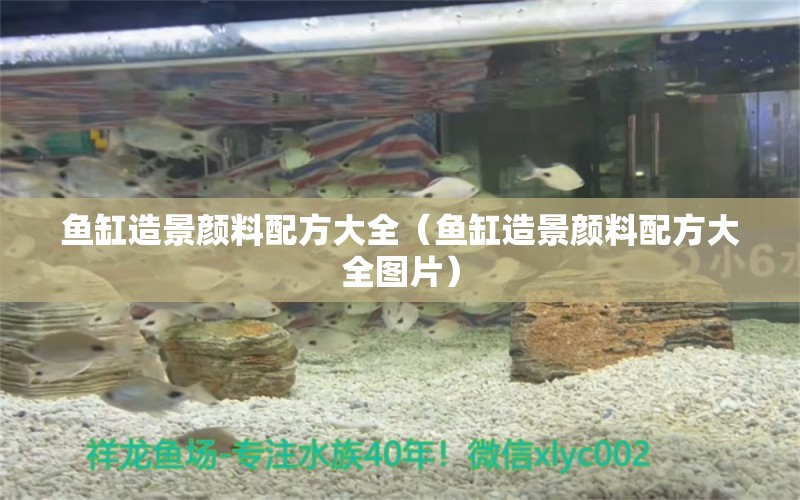 魚缸造景顏料配方大全（魚缸造景顏料配方大全圖片）