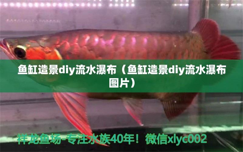 魚缸造景diy流水瀑布（魚缸造景diy流水瀑布圖片） 祥龍魚場