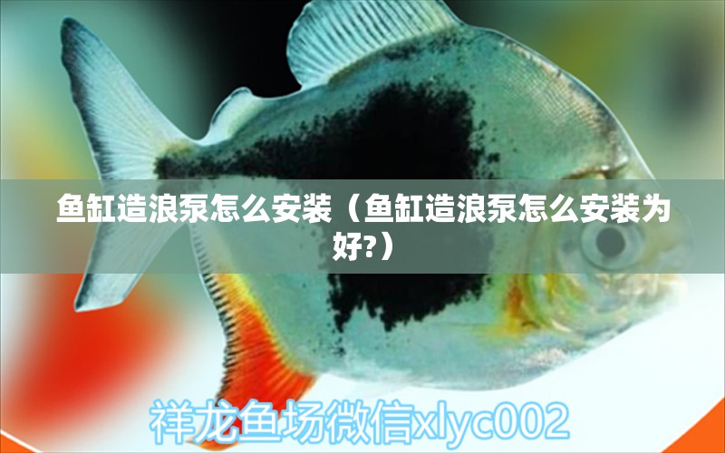 魚缸造浪泵怎么安裝（魚缸造浪泵怎么安裝為好?） 祥龍水族醫(yī)院