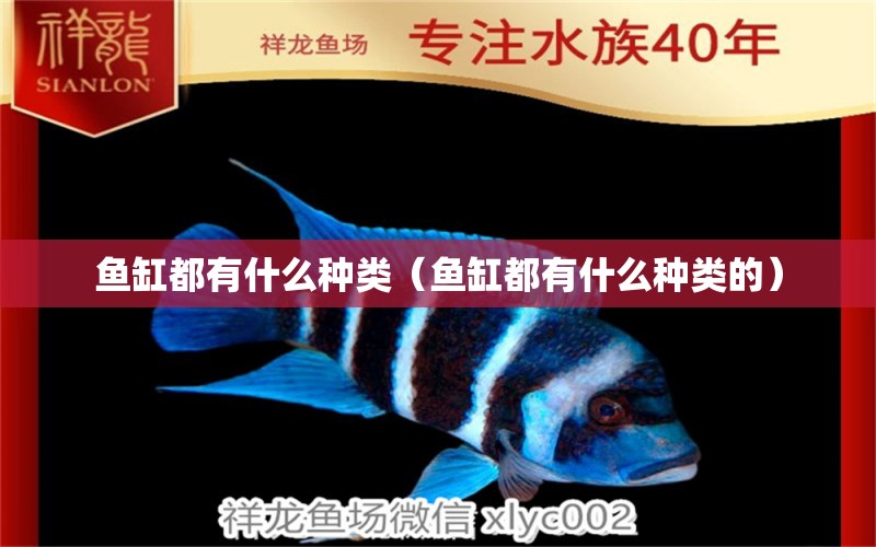 魚(yú)缸都有什么種類(lèi)（魚(yú)缸都有什么種類(lèi)的）