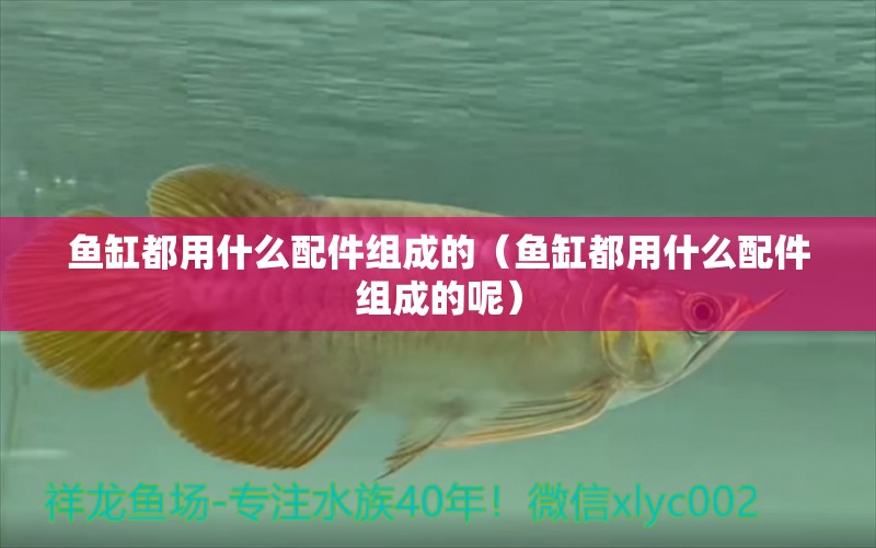 魚(yú)缸都用什么配件組成的（魚(yú)缸都用什么配件組成的呢） 觀賞魚(yú)魚(yú)苗 第1張