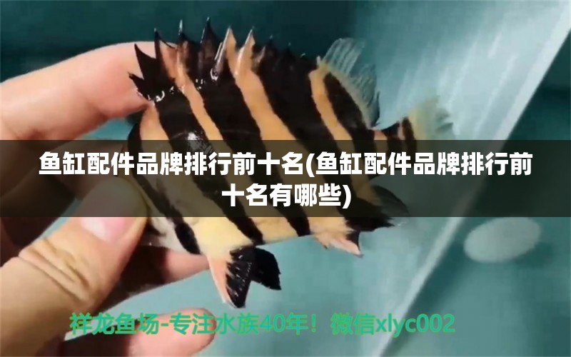 魚(yú)缸配件品牌排行前十名(魚(yú)缸配件品牌排行前十名有哪些)