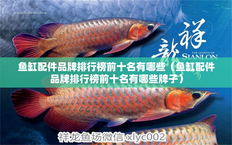 魚缸配件品牌排行榜前十名有哪些（魚缸配件品牌排行榜前十名有哪些牌子）