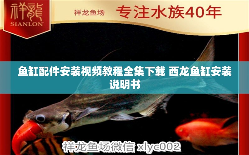 魚缸配件安裝視頻教程全集下載 西龍魚缸安裝說明書 養(yǎng)魚的好處 第1張