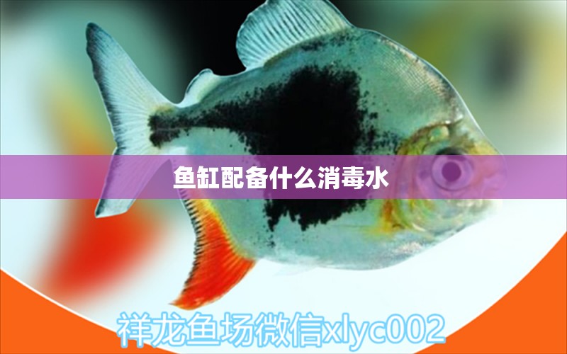 魚缸配備什么消毒水 