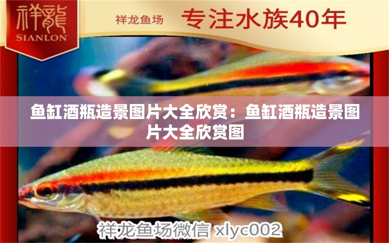 魚缸酒瓶造景圖片大全欣賞：魚缸酒瓶造景圖片大全欣賞圖