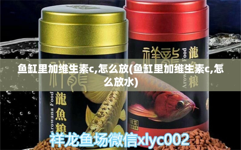 魚缸里加維生素c,怎么放(魚缸里加維生素c,怎么放水) 胭脂孔雀龍魚