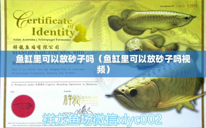 魚缸里可以放砂子嗎（魚缸里可以放砂子嗎視頻） 馬拉莫寶石魚