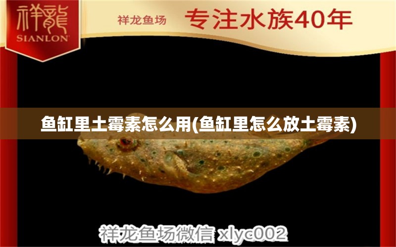 魚(yú)缸里土霉素怎么用(魚(yú)缸里怎么放土霉素) 祥龍魚(yú)場(chǎng)品牌產(chǎn)品 第1張