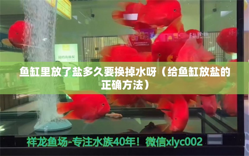 魚缸里放了鹽多久要換掉水呀（給魚缸放鹽的正確方法） 祥龍水族醫(yī)院