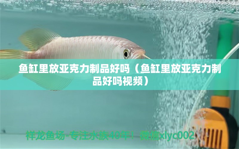 魚缸里放亞克力制品好嗎（魚缸里放亞克力制品好嗎視頻）