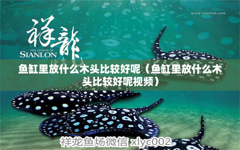 魚缸里放什么木頭比較好呢（魚缸里放什么木頭比較好呢視頻） 其他品牌魚缸