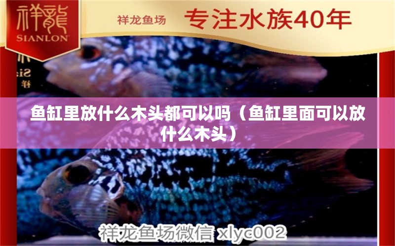 魚缸里放什么木頭都可以嗎（魚缸里面可以放什么木頭） 其他品牌魚缸