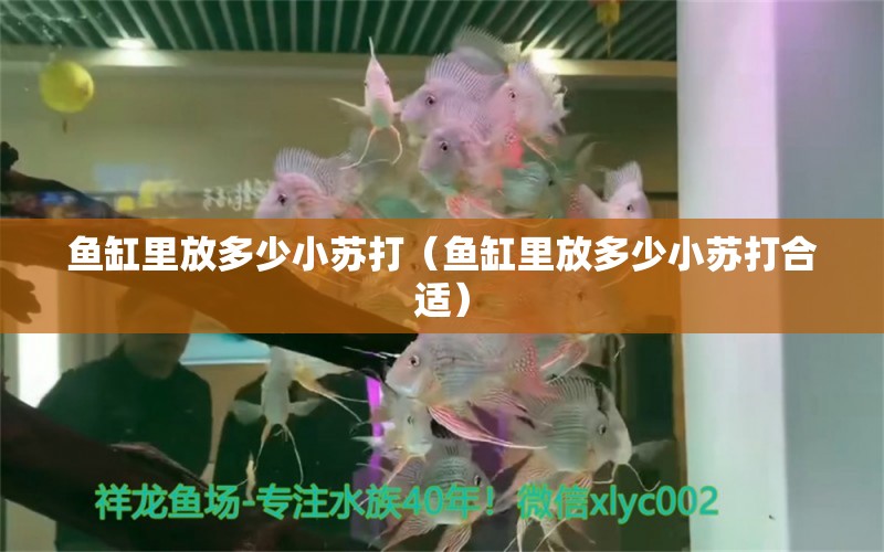 魚缸里放多少小蘇打（魚缸里放多少小蘇打合適）