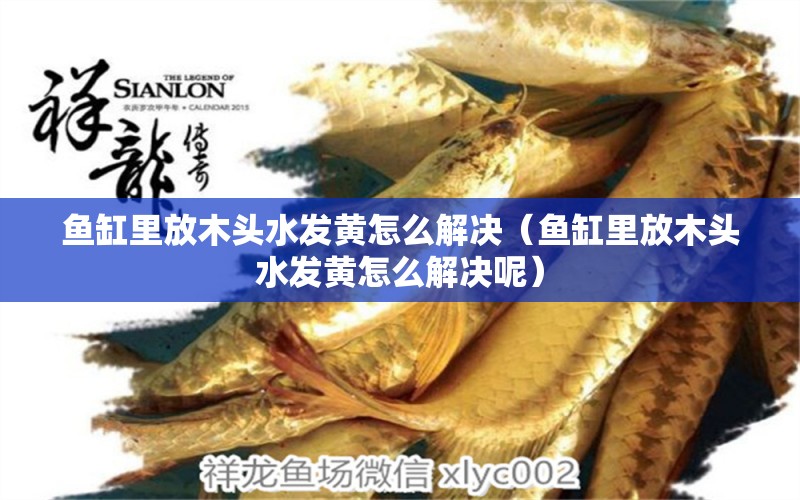 魚缸里放木頭水發(fā)黃怎么解決（魚缸里放木頭水發(fā)黃怎么解決呢）