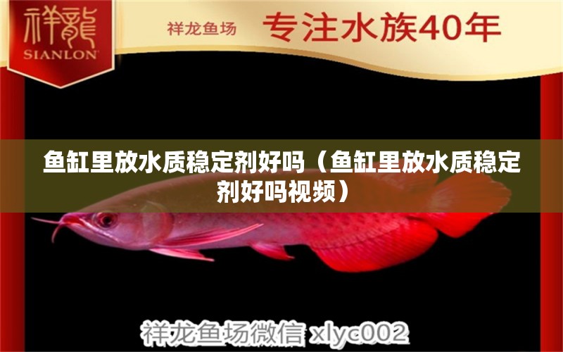 魚(yú)缸里放水質(zhì)穩(wěn)定劑好嗎（魚(yú)缸里放水質(zhì)穩(wěn)定劑好嗎視頻）