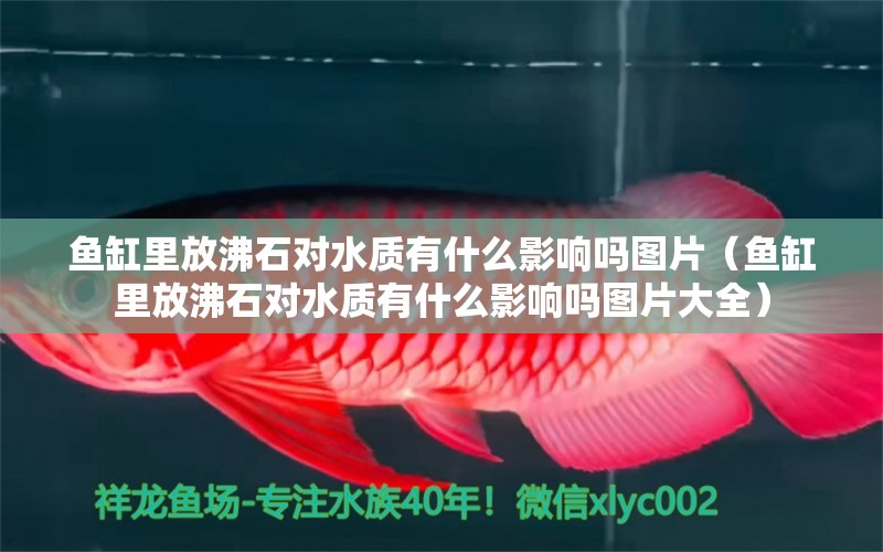 魚(yú)缸里放沸石對(duì)水質(zhì)有什么影響嗎圖片（魚(yú)缸里放沸石對(duì)水質(zhì)有什么影響嗎圖片大全） 其他品牌魚(yú)缸