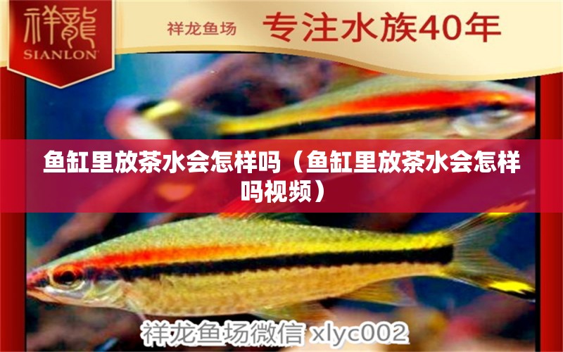 魚缸里放茶水會(huì)怎樣嗎（魚缸里放茶水會(huì)怎樣嗎視頻）