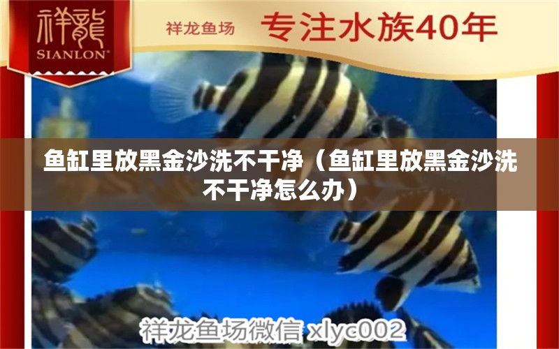 魚(yú)缸里放黑金沙洗不干凈（魚(yú)缸里放黑金沙洗不干凈怎么辦）