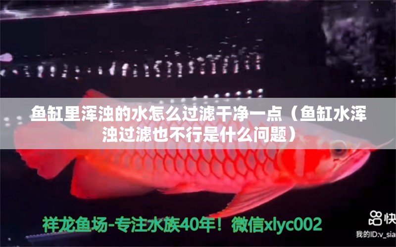 魚(yú)缸里渾濁的水怎么過(guò)濾干凈一點(diǎn)（魚(yú)缸水渾濁過(guò)濾也不行是什么問(wèn)題）