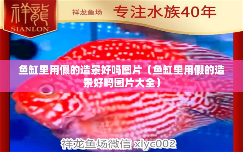 魚缸里用假的造景好嗎圖片（魚缸里用假的造景好嗎圖片大全） 祥龍水族醫(yī)院