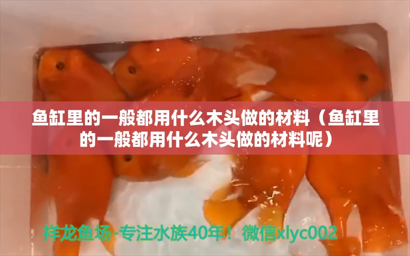 魚缸里的一般都用什么木頭做的材料（魚缸里的一般都用什么木頭做的材料呢）