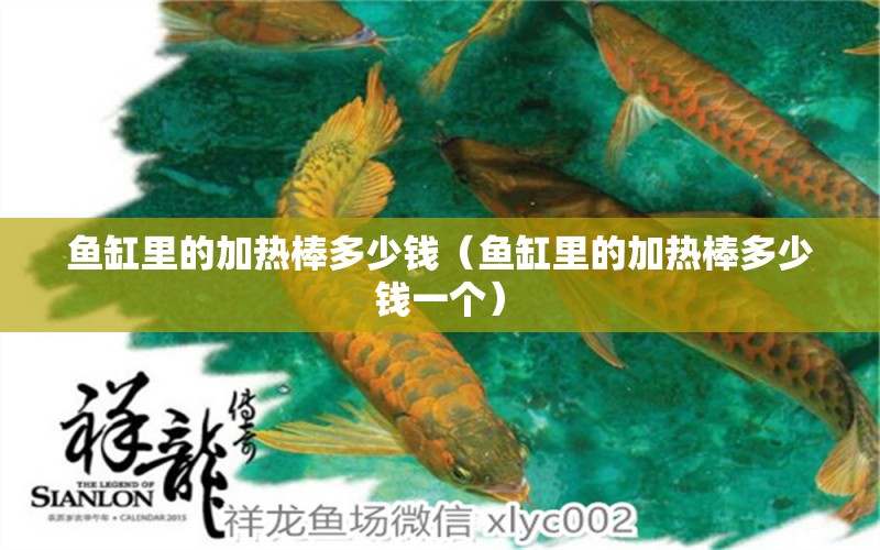 魚缸里的加熱棒多少錢（魚缸里的加熱棒多少錢一個）