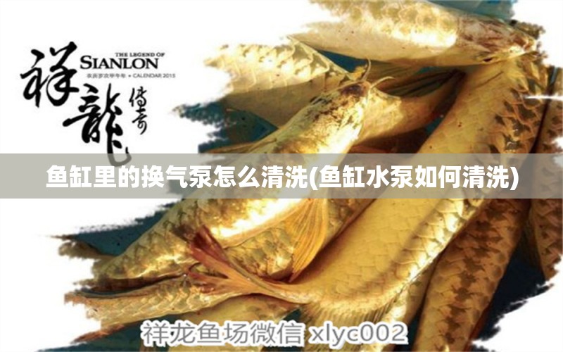 魚缸里的換氣泵怎么清洗(魚缸水泵如何清洗) 魚缸水泵