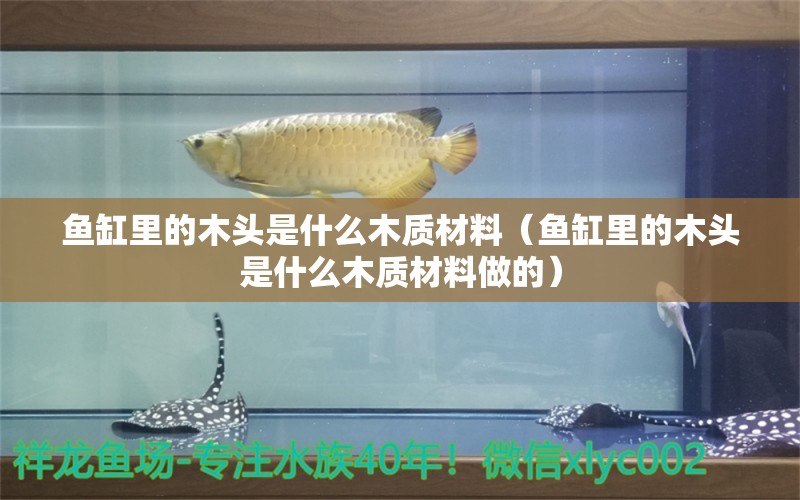 魚缸里的木頭是什么木質(zhì)材料（魚缸里的木頭是什么木質(zhì)材料做的）