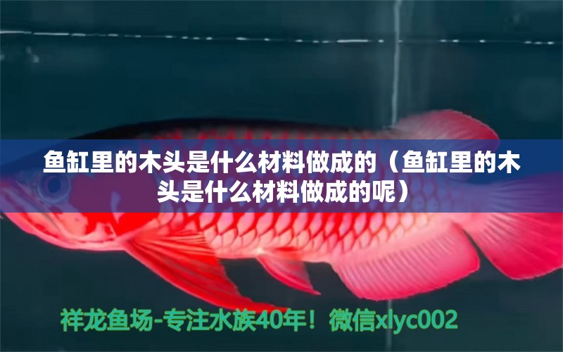 魚(yú)缸里的木頭是什么材料做成的（魚(yú)缸里的木頭是什么材料做成的呢）