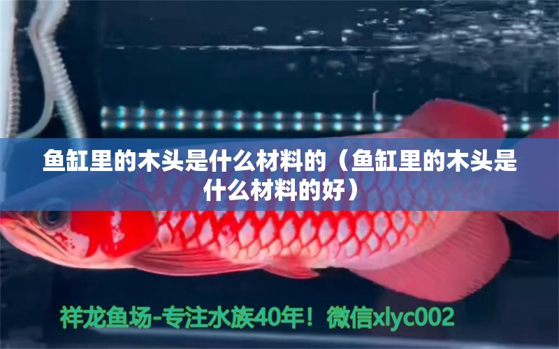 魚(yú)缸里的木頭是什么材料的（魚(yú)缸里的木頭是什么材料的好） 其他品牌魚(yú)缸