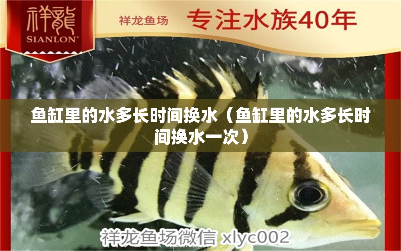 魚缸里的水多長時(shí)間換水（魚缸里的水多長時(shí)間換水一次）