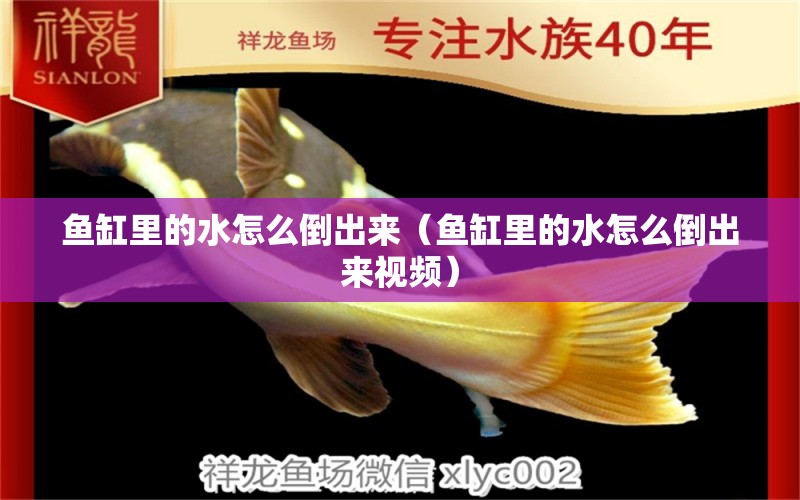 魚(yú)缸里的水怎么倒出來(lái)（魚(yú)缸里的水怎么倒出來(lái)視頻） 祥龍水族醫(yī)院