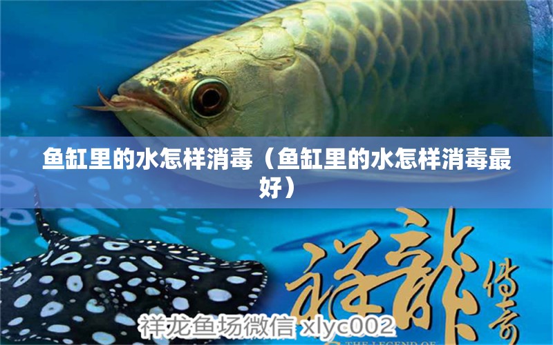 魚缸里的水怎樣消毒（魚缸里的水怎樣消毒最好）