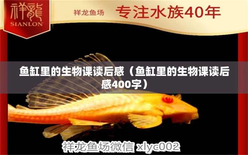 魚缸里的生物課讀后感（魚缸里的生物課讀后感400字） 觀賞魚市場（混養(yǎng)魚）