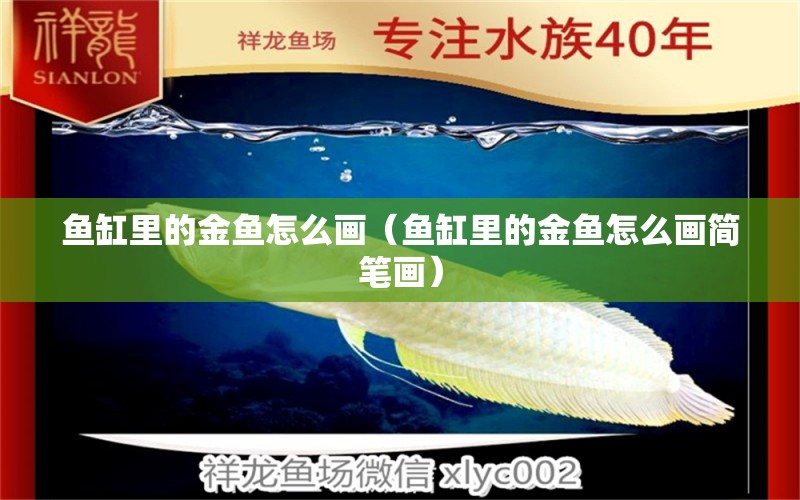 魚缸里的金魚怎么畫（魚缸里的金魚怎么畫簡(jiǎn)筆畫） 祥龍水族醫(yī)院