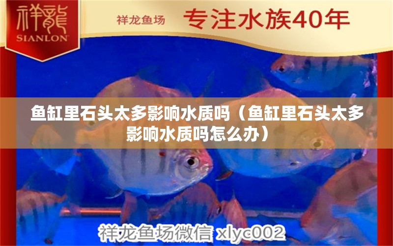 魚缸里石頭太多影響水質(zhì)嗎（魚缸里石頭太多影響水質(zhì)嗎怎么辦） 其他品牌魚缸