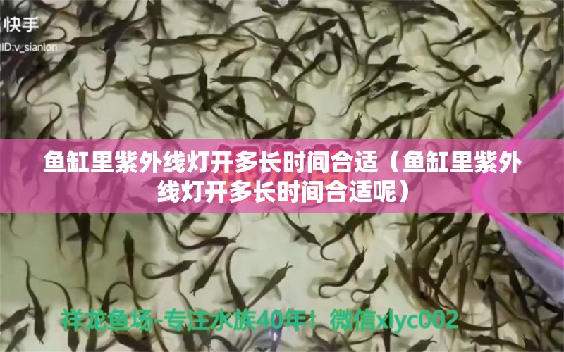 魚缸里紫外線燈開多長時間合適（魚缸里紫外線燈開多長時間合適呢）