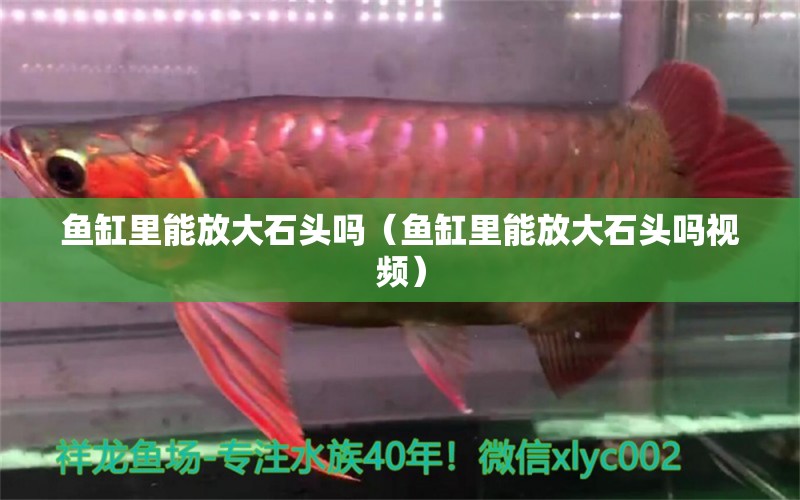 魚缸里能放大石頭嗎（魚缸里能放大石頭嗎視頻） 其他品牌魚缸