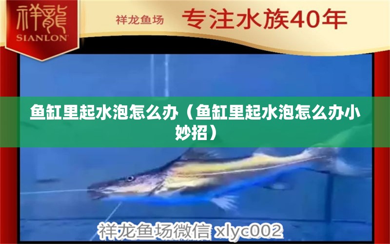 魚缸里起水泡怎么辦（魚缸里起水泡怎么辦小妙招） 定時器/自控系統(tǒng)