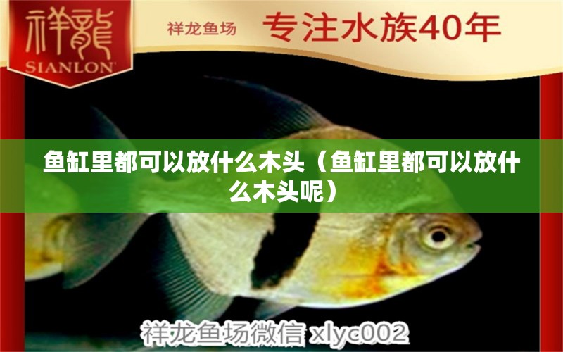 魚缸里都可以放什么木頭（魚缸里都可以放什么木頭呢） 其他品牌魚缸