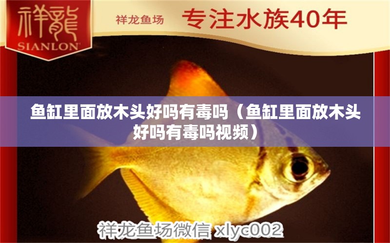 魚缸里面放木頭好嗎有毒嗎（魚缸里面放木頭好嗎有毒嗎視頻） 其他品牌魚缸