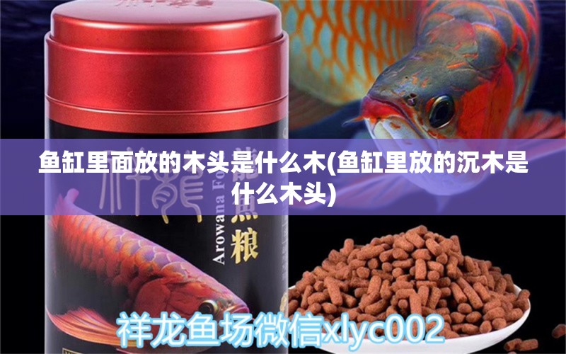 魚缸里面放的木頭是什么木(魚缸里放的沉木是什么木頭) 祥龍龍魚專用水族燈