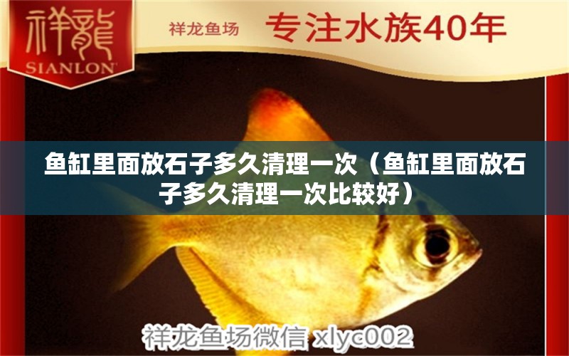 魚缸里面放石子多久清理一次（魚缸里面放石子多久清理一次比較好） 其他品牌魚缸